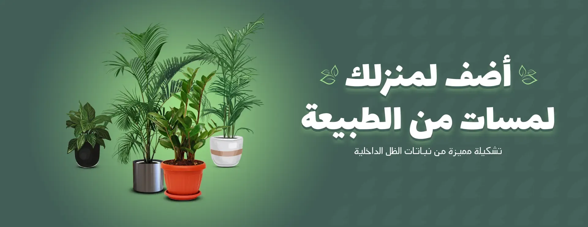 456.webp
